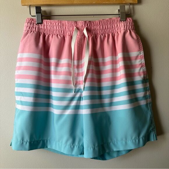 Chubbies Swim Trunks Mens Size S On The Horizons 5.5 in Stretch Lined Pocket - Picture 12 of 14